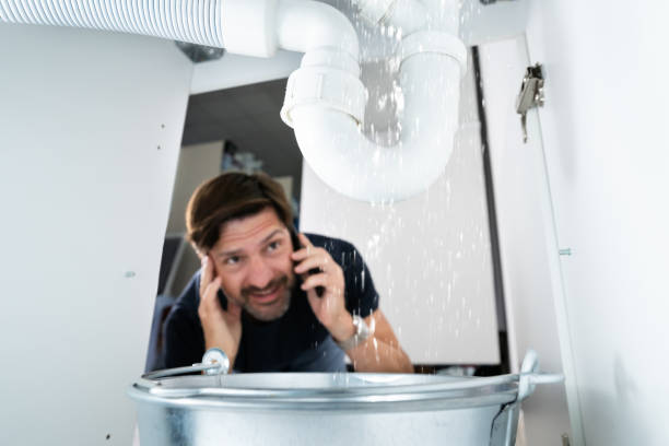 Best Local Plumber Services  in La Homa, TX