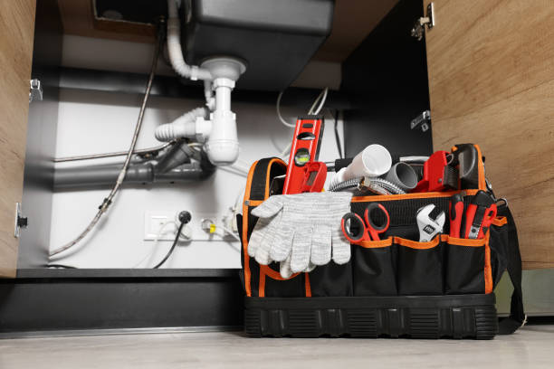 Best Clogged Drain Plumber  in La Homa, TX