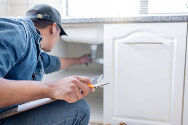 Best Toilet Repair Services  in La Homa, TX